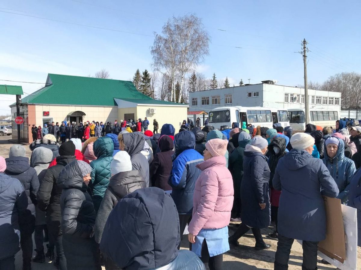 Новости ао. Екатерина Жилина Ульяновск АО тепличное.